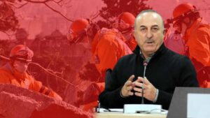 Read more about the article Bakan Çavuşoğlu rakam verdi: Kaç ülke Türkiye'ye yardıma geldi?