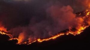 Read more about the article Meksika’da orman yangınları nedeniyle acil durum ilan edildi