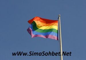 Read more about the article Sivas Gay Sohbet
