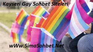 Read more about the article Kayseri Gay Sohbet