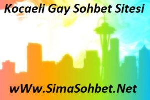 Read more about the article Kocaeli Gay Sohbet