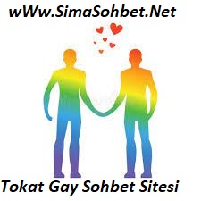 Read more about the article Tokat Gay Sohbet