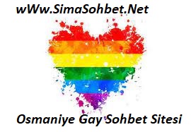 Read more about the article Osmaniye Gay Sohbet