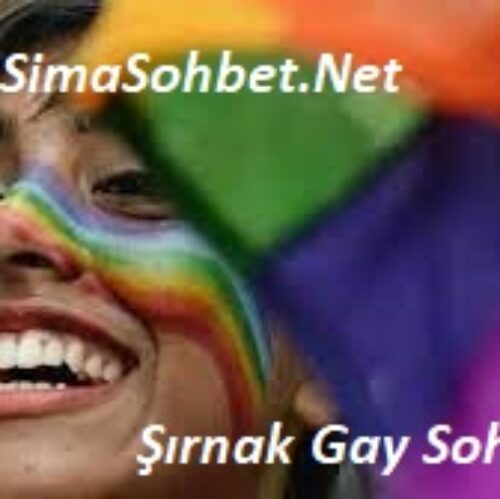 Şırnak Gay Sohbet