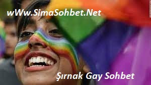 Read more about the article Şırnak Gay Sohbet